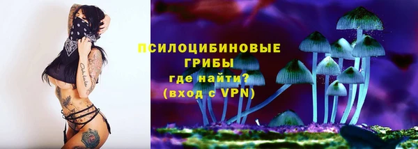 шишки Алзамай