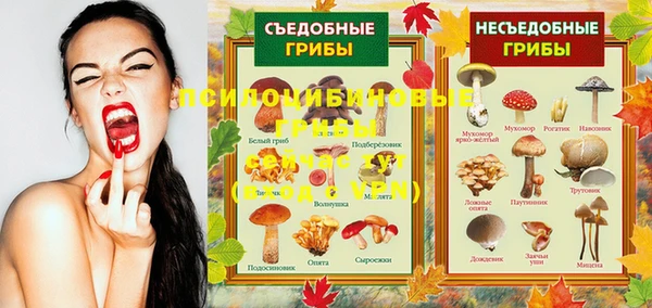 кристаллы Алексин