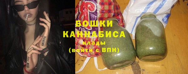 шишки Алзамай