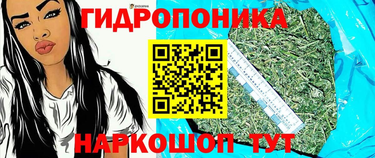 Канабис OG Kush  Канабис Bruce Banner  МАРИХУАНА сатива  Старый Оскол  Вход с VPN 